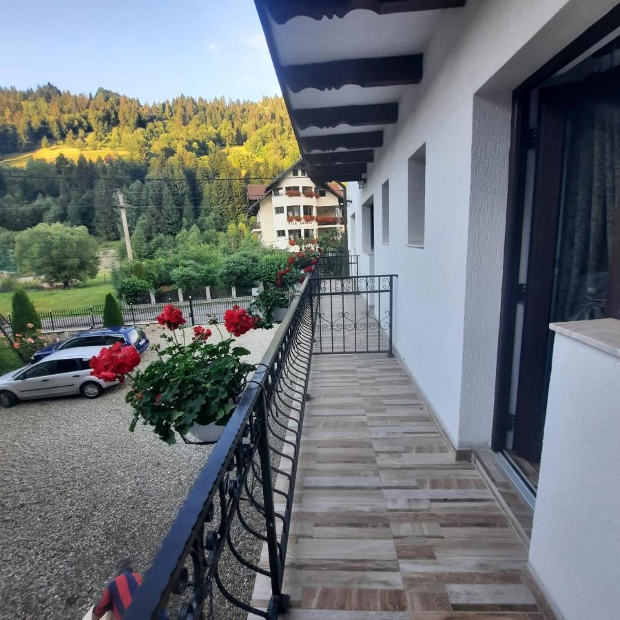 Hotel Casa Dana Olteanu Moeciu De Sus Esterno foto